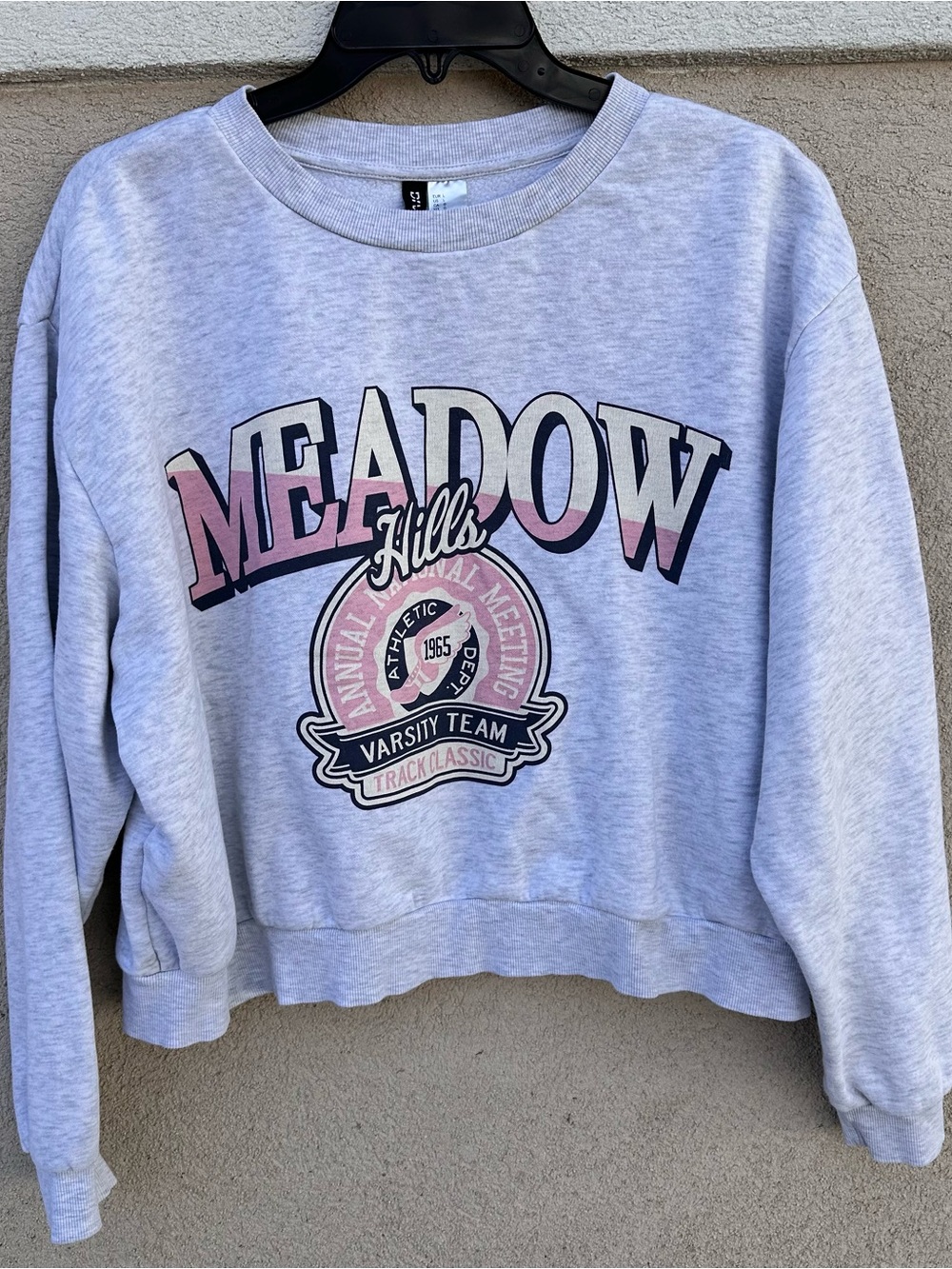 H&M Meadow Hills Gray & Pink Graphic Sweatshirt